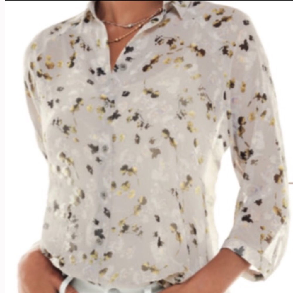 Cabi 5204 Matinee Sheer Button Down Blouse - M